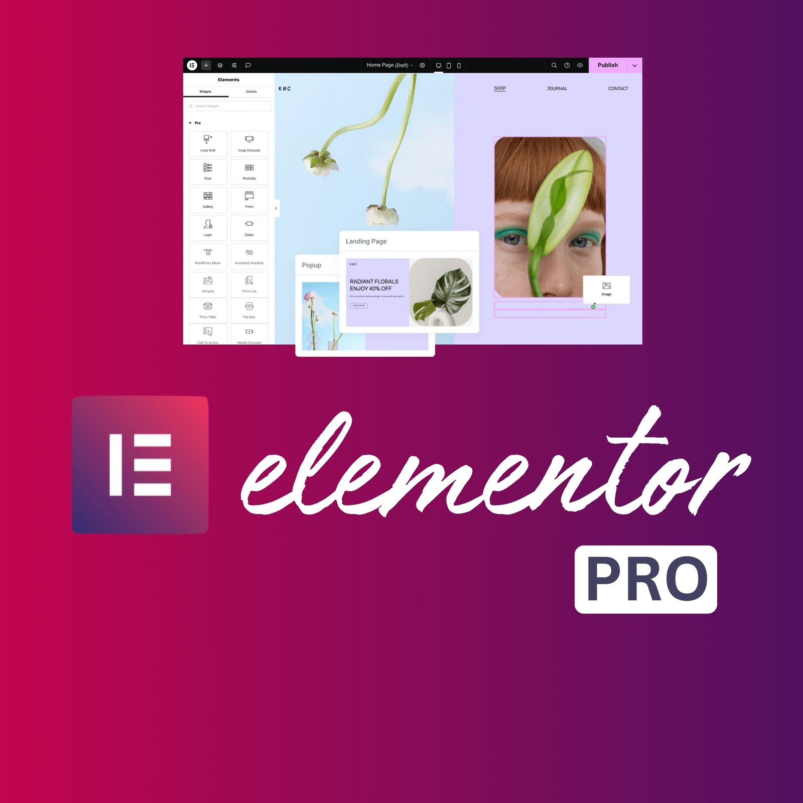 Free elementor Pro